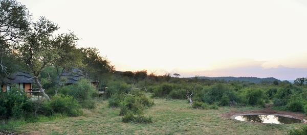 Motswiri game lodge - Madikwe game reserve special - Image 3