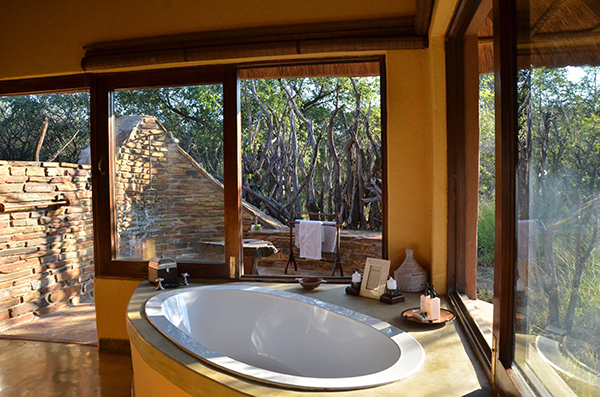Motswiri game lodge - Madikwe game reserve special - Image 4