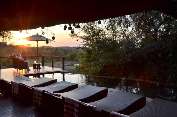 Motswiri game lodge - Madikwe game reserve special - Image 2