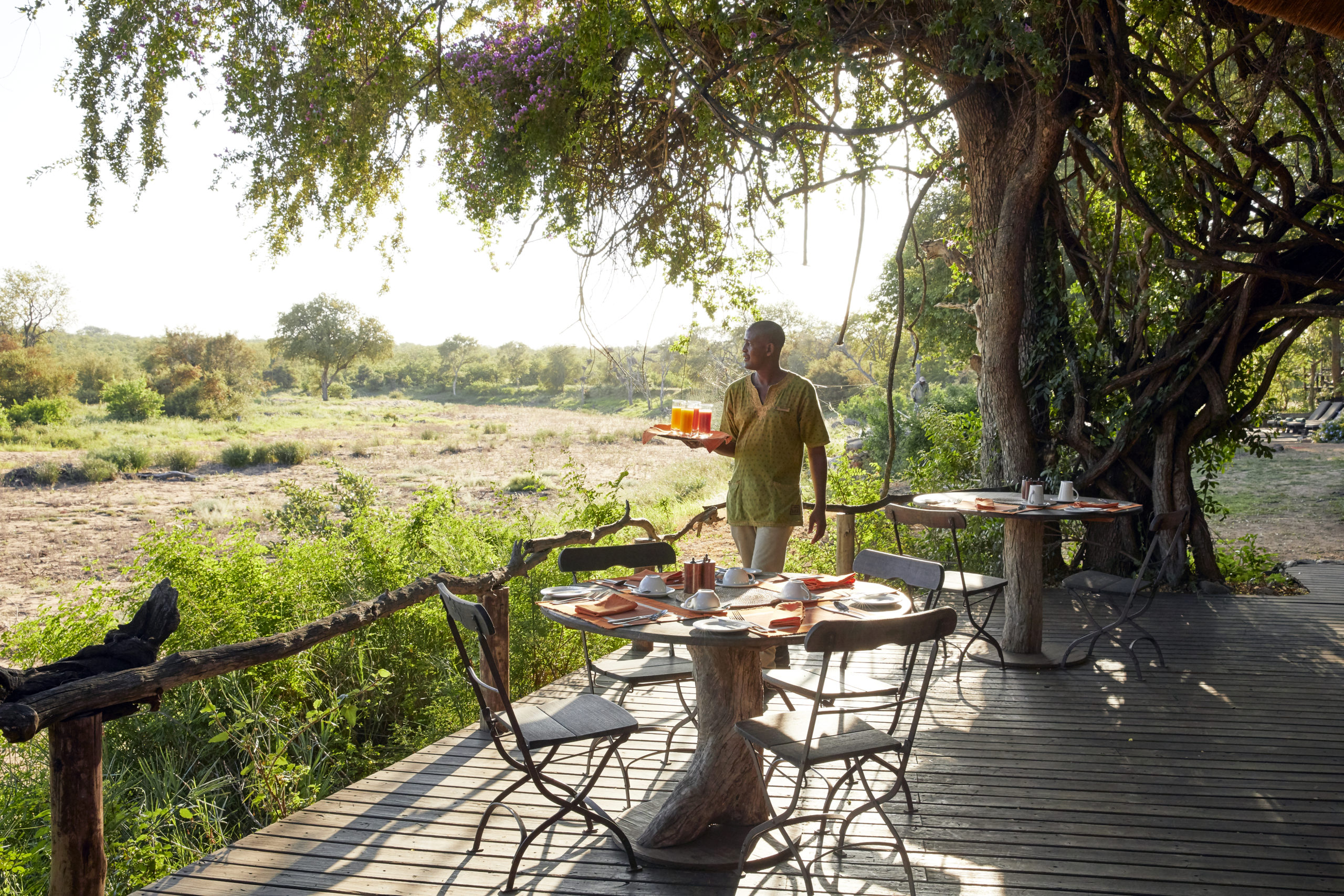 Motswari Private Game Reserve Special - Image 8