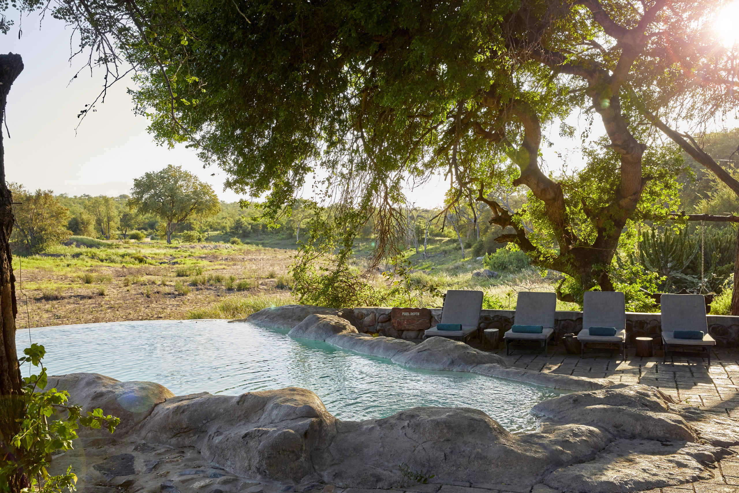 Motswari Private Game Reserve Special - Image 2