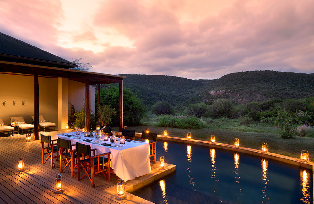 Kwandwe Game Reserve - Eastern Cape Specials - Image 4
