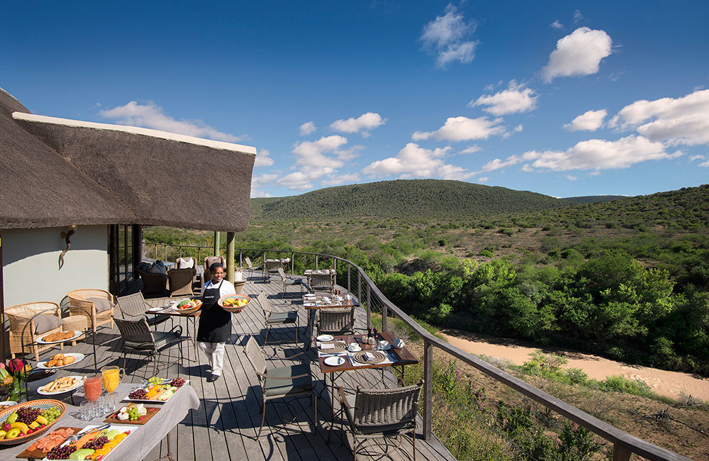 Kwandwe Game Reserve - Eastern Cape Specials - Image 9