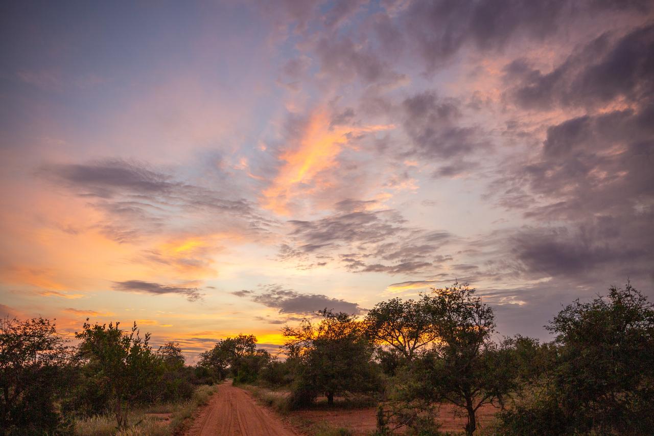 Senalala Safari Lodge @ R7500 pppn
