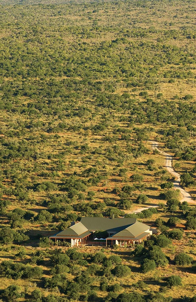 Kwandwe Game Reserve - Eastern Cape Specials - Image 3