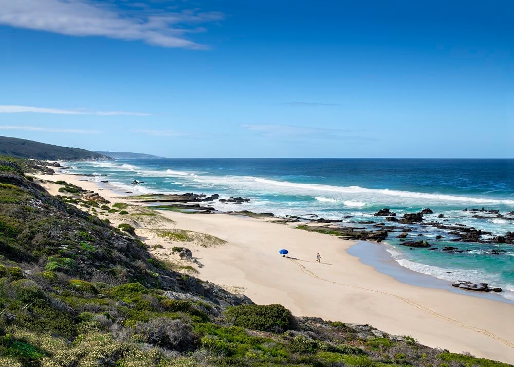 Lekkerwater Beach Lodge - De Hoop Nature Reserve - Image 5