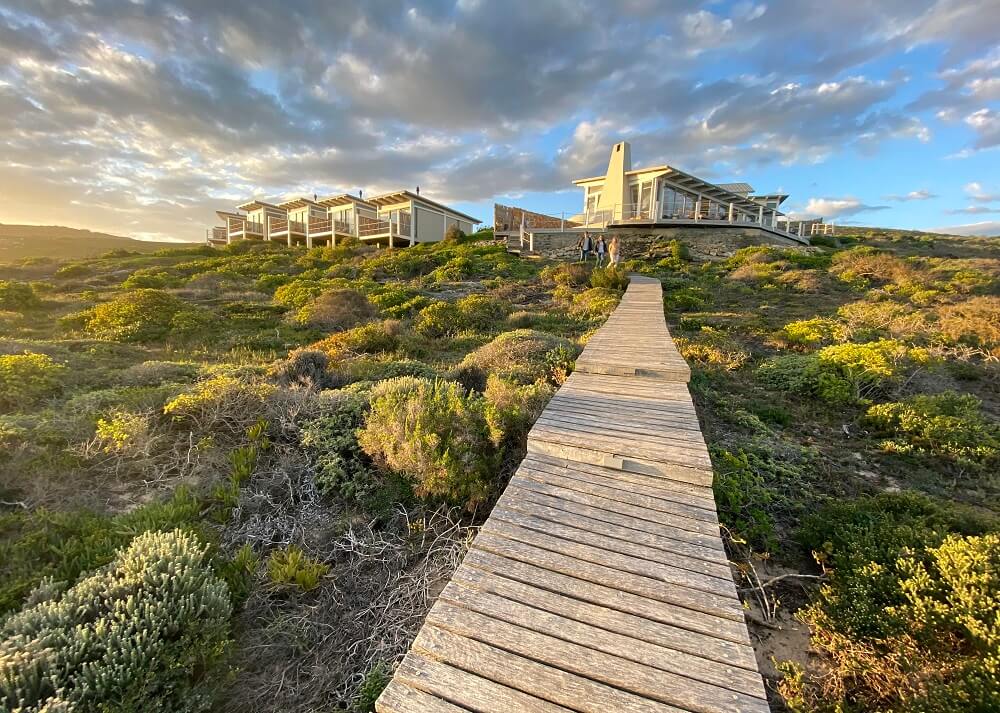 Lekkerwater Beach Lodge - De Hoop Nature Reserve - Image 9
