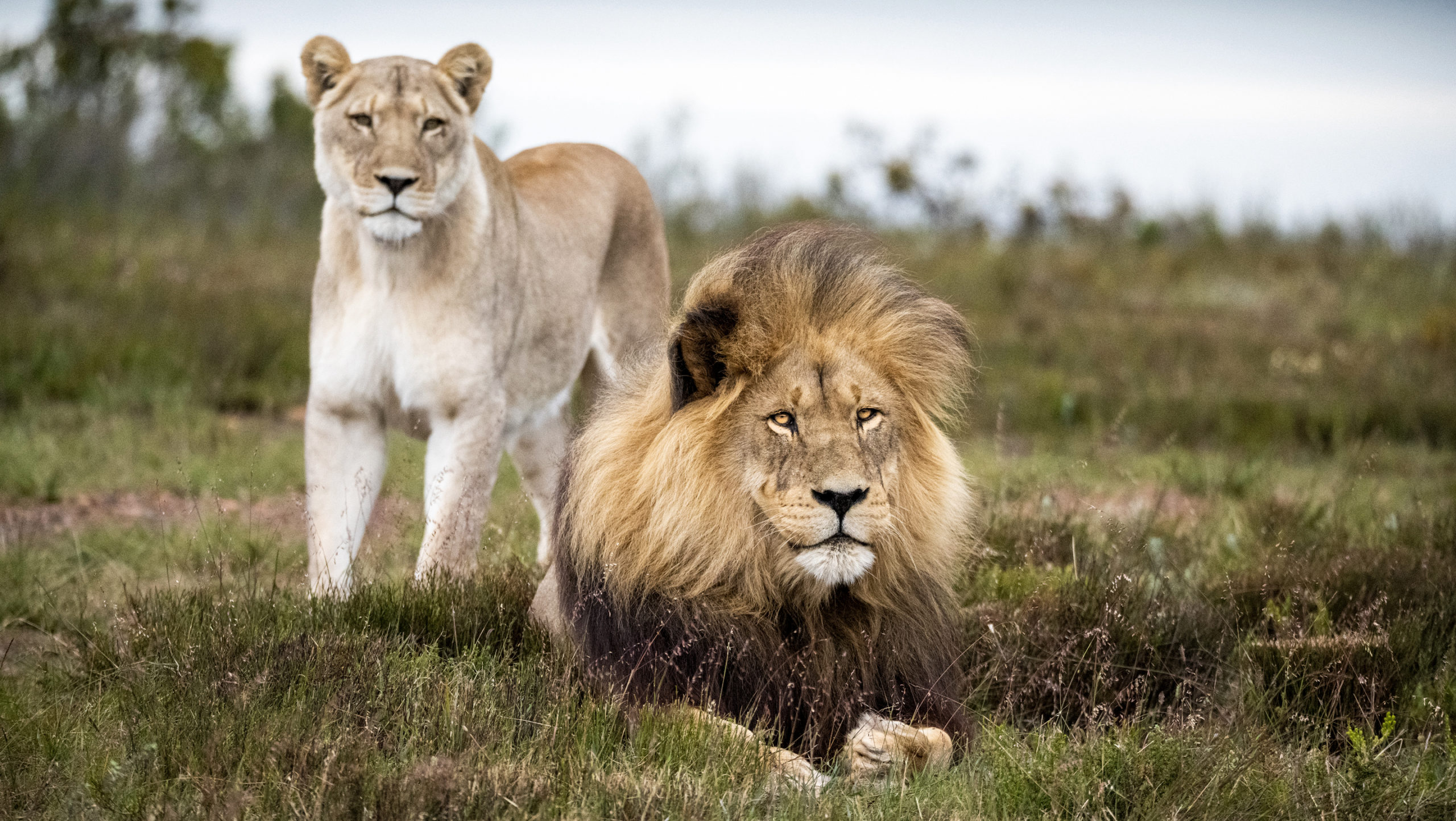 Gondwana Game Reserve
