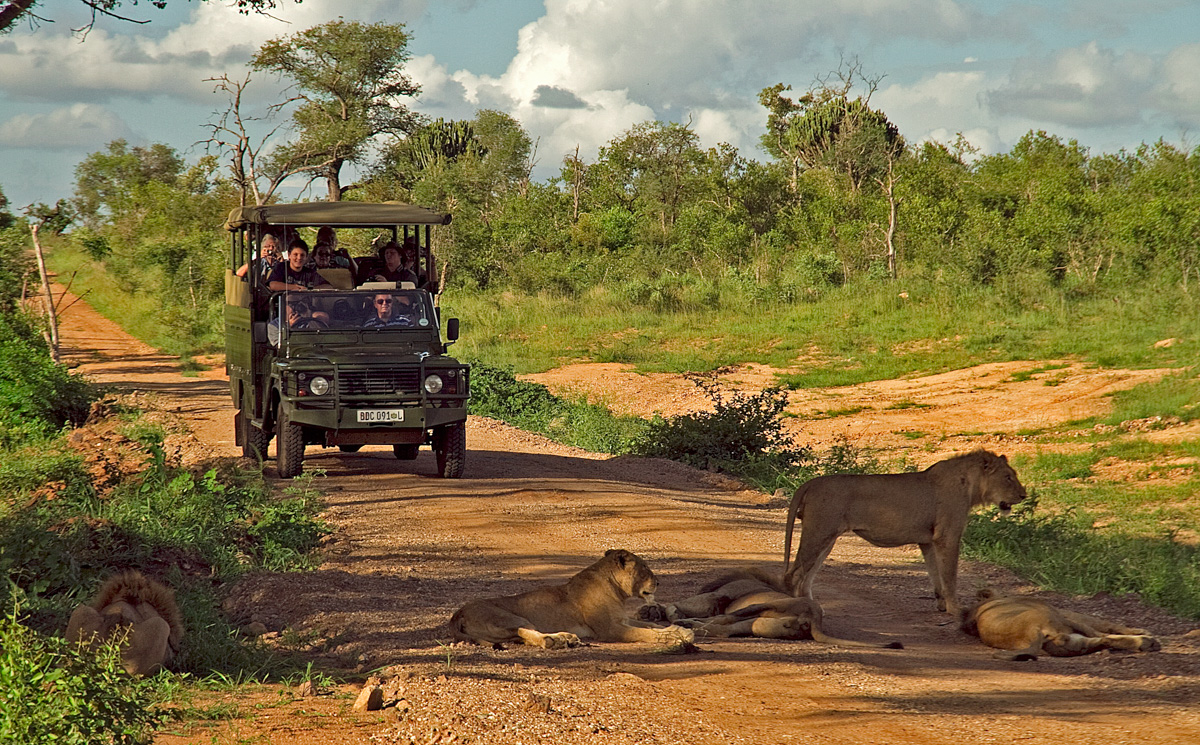 Mjejane river Lodge - Image 3