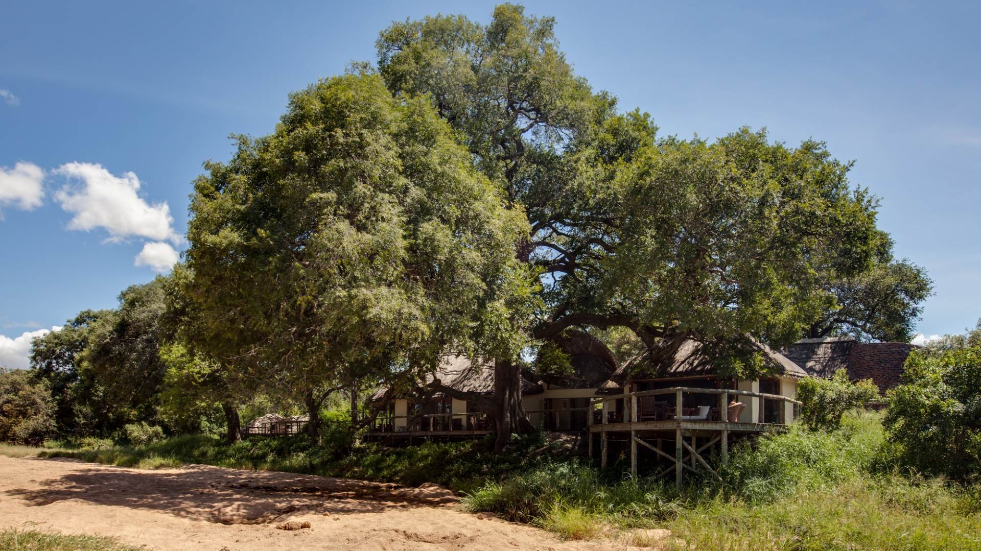 Tintswalo safari lodge fly in special - Image 10