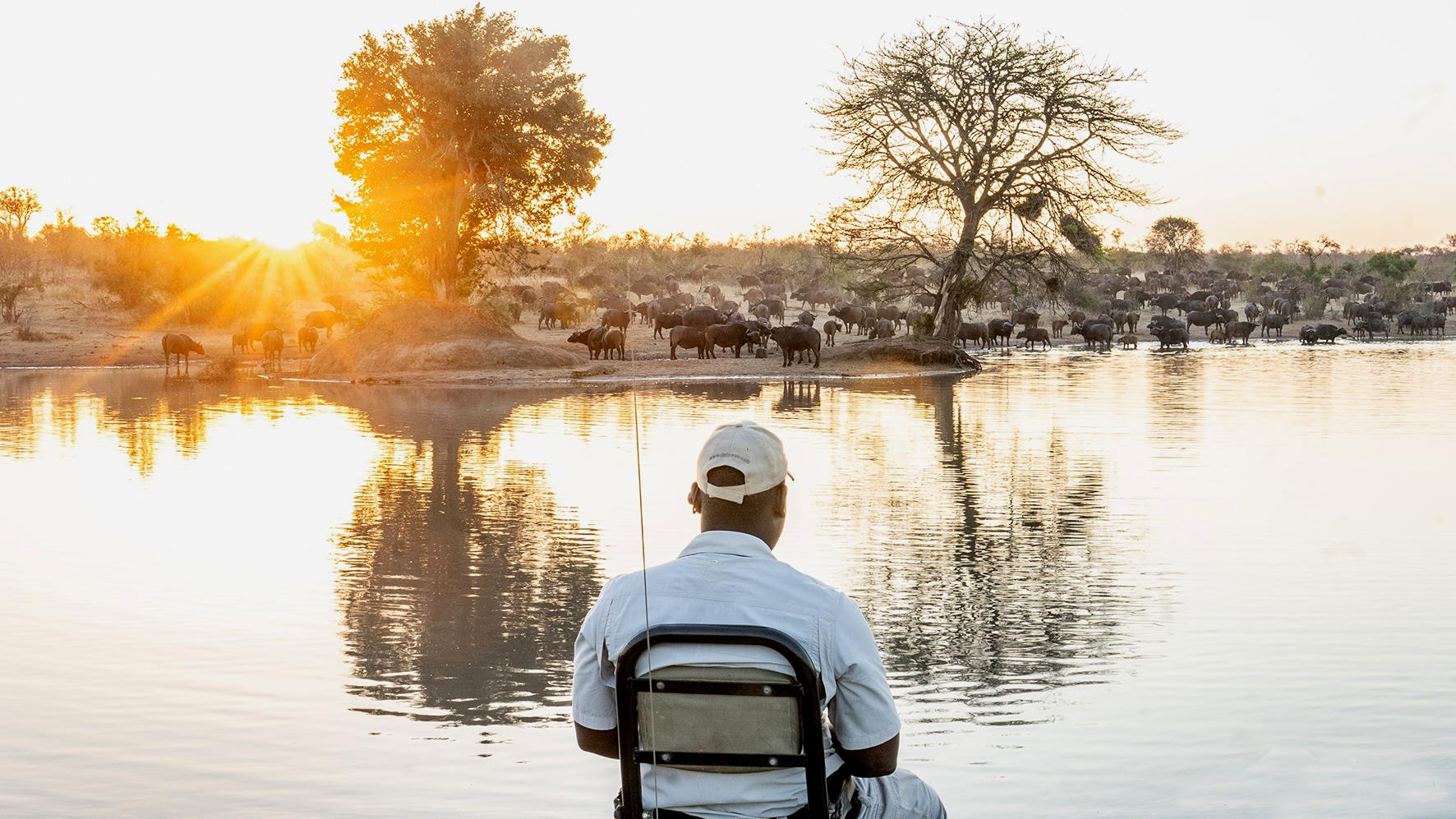 Tintswalo safari lodge fly in special - Image 6