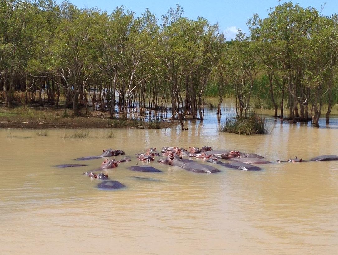 Makakatana Bay Lodge - last minute rates - Image 4