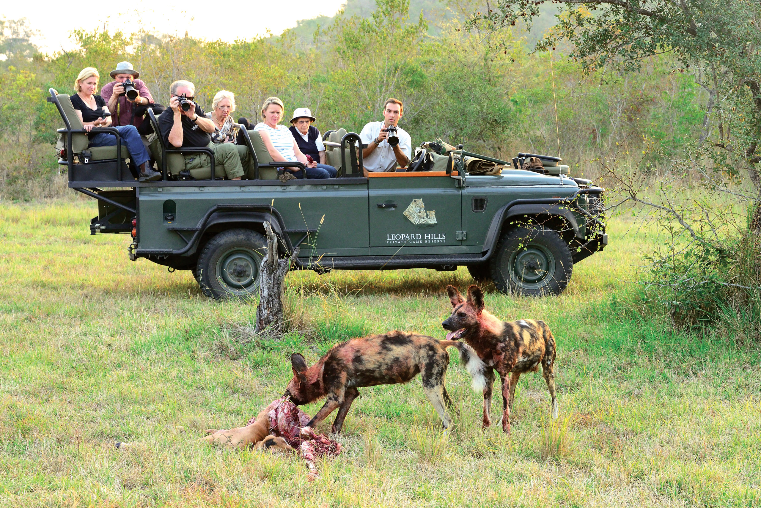 Luxury 8 night beach and bush package - Image 3