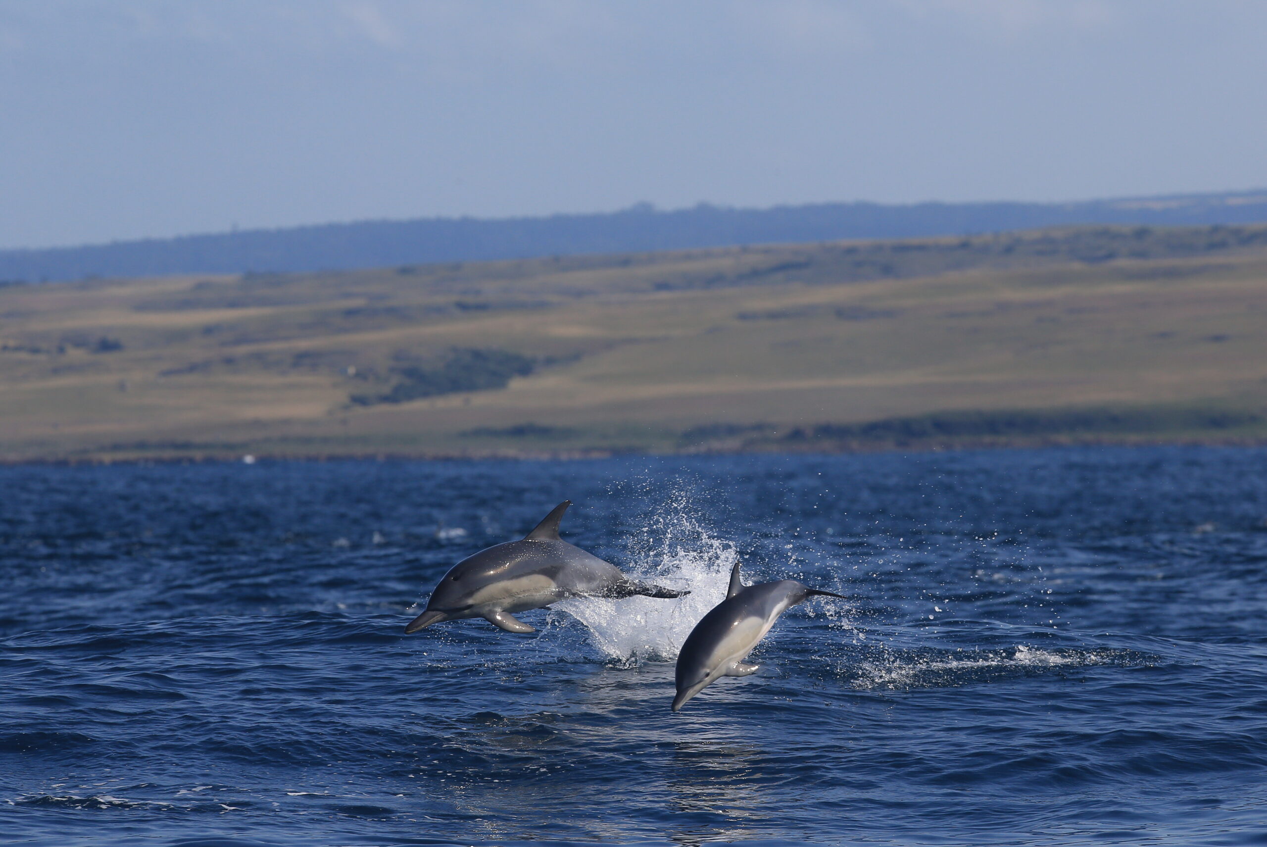 GweGwe Beach Lodge - Wild coast - Image 4