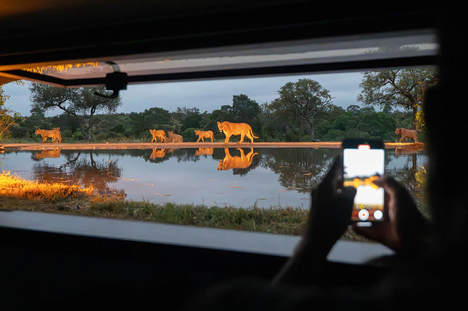 Kings Camp and Leopard Hills 6 night special - Image 9