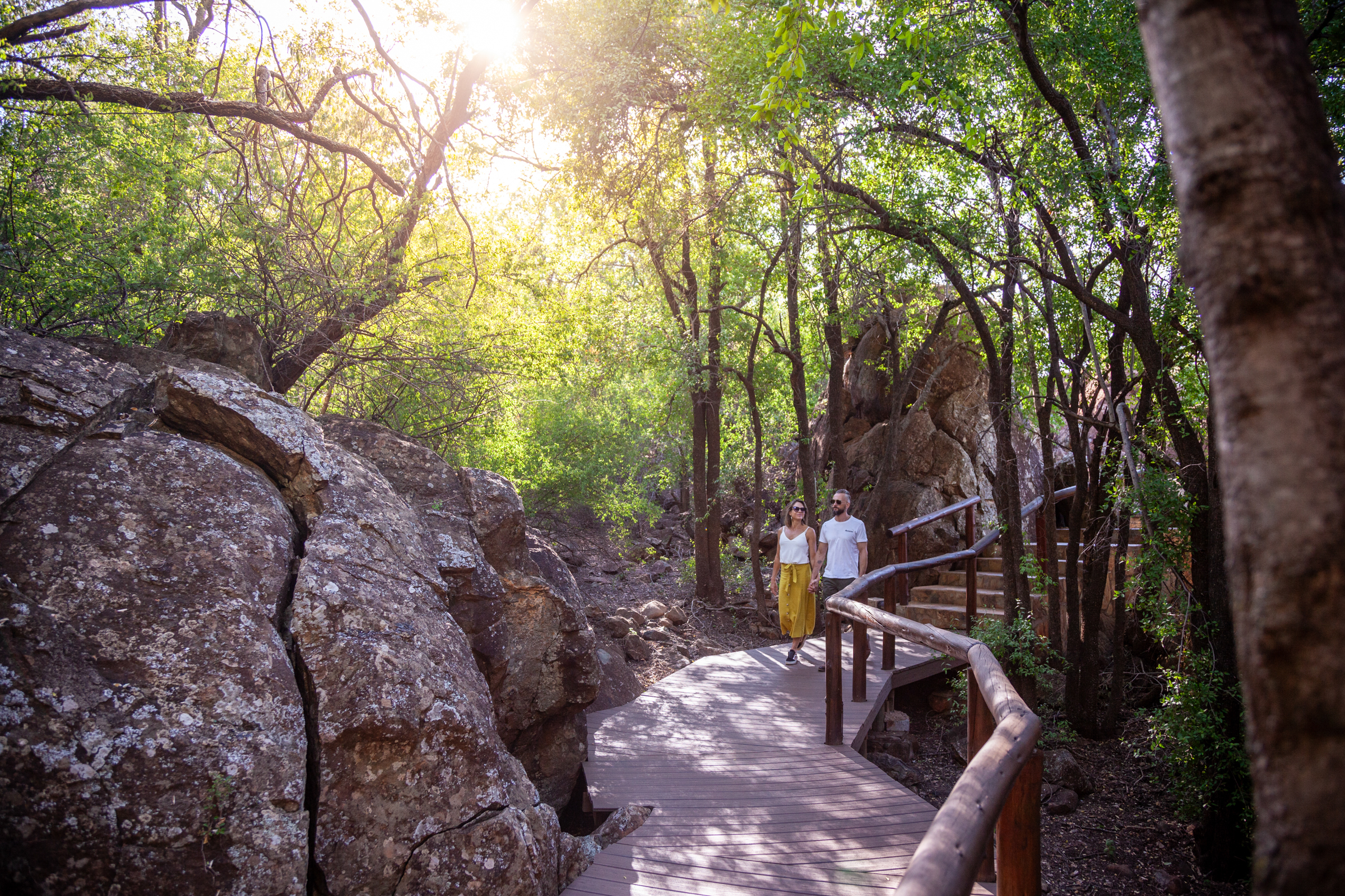 Madikwe Hills and Leopard Hills 6 night special - Image 6